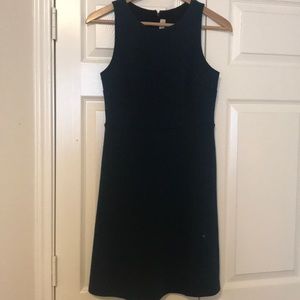 Ann Taylor Loft dress
